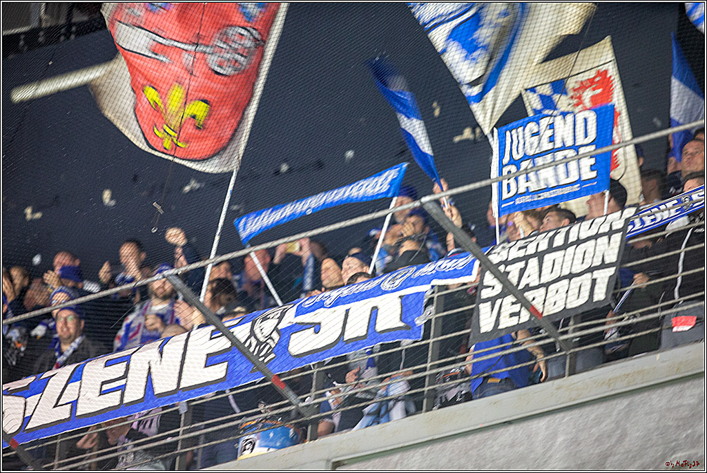 DEL; Koelner Haie - Straubing Tigers; Koeln, 17.11.2019